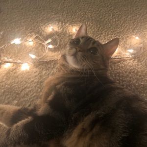 Meet your Posher, Brenda